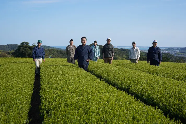 茶匠 矢部園のメンバーと茶畑